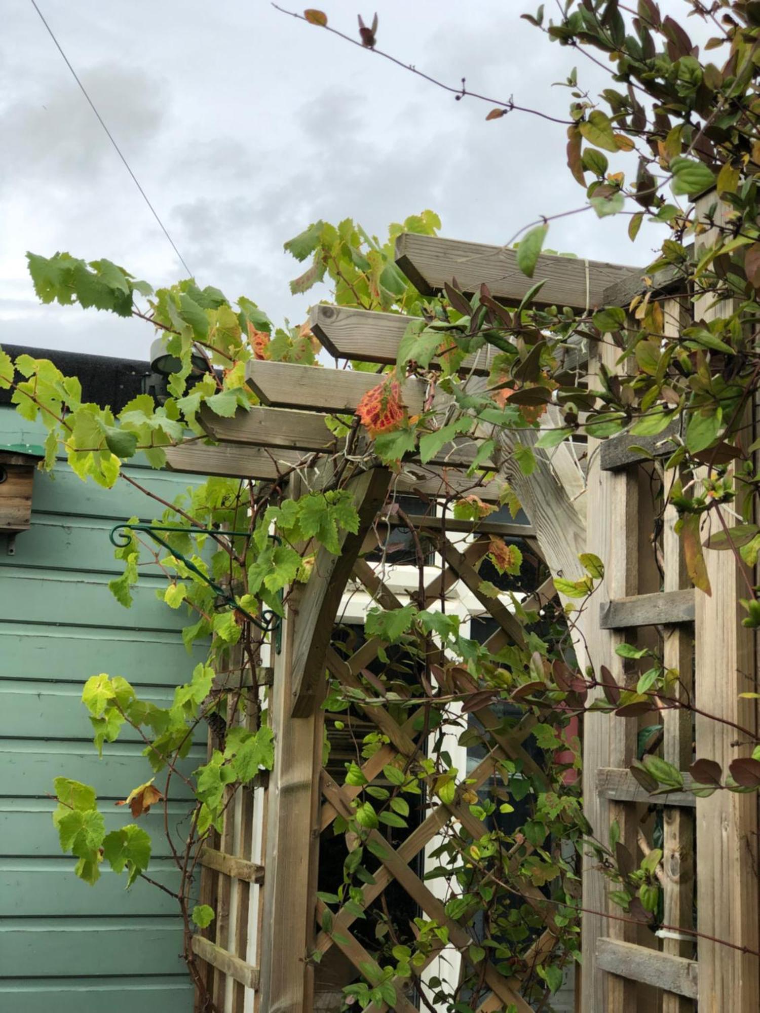 Bed and Breakfast Owly 'Ouse Barnstaple Exterior foto